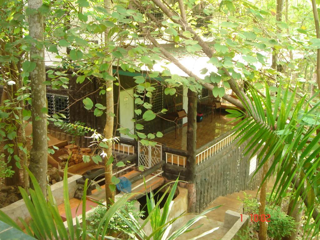 Sam'S Jungle Guesthouse Sai Yok Room photo